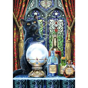 Mercaton puzzle, 1000 darab, A boszorkány tanítványa