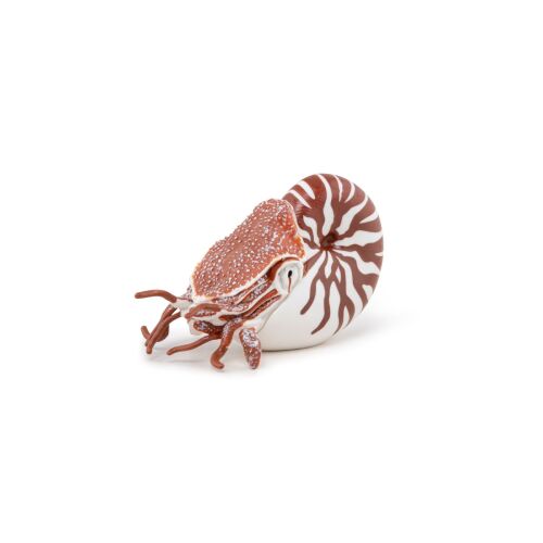 Papo Nautilus figurka, oldalnézet, barna és fehér, részletes, valósághű - Figura