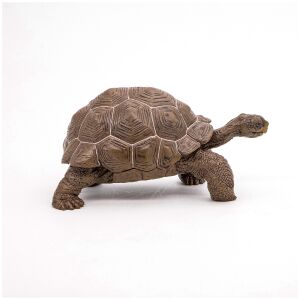 GALÁPAGOSZI TEKNŐS FIGURA