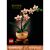 LEGO Botanicals 10343 Mini-Orchidee 123617181