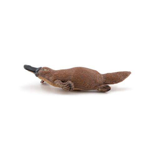 VÍZILÓ FIGURA CSEVEGÉS