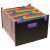 VIQUEL Rainbow Class black accordion file folder with 24 compartments for A4 documents