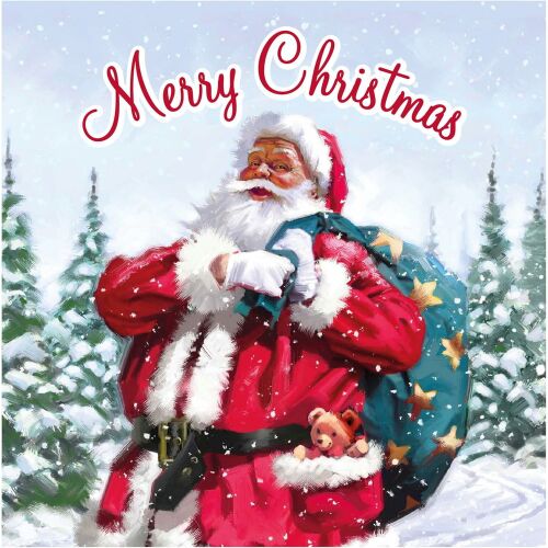 Iris Karácsonyi Télapós Ajándék kártya 12db/csomag (14 x 14cm) - Kétféle mintás 123931832