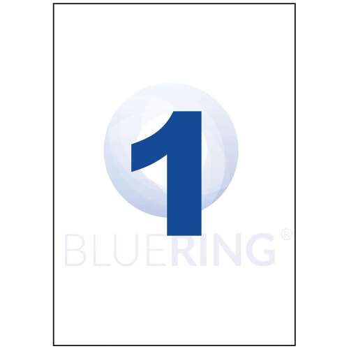 Etikettenaufkleber, 210x297mm, 100 Blatt, 1 Etikett/Blatt bluering®