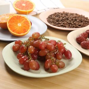 Set mit 4 Zusammen-Desserttellern, Polypropylen, mehrfarbig, 18,5 cm 124035014 - Teller