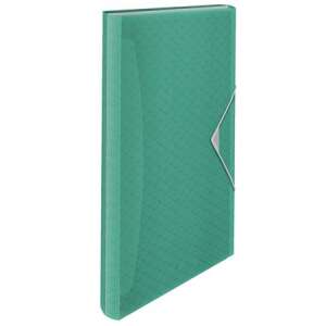 Esselte Colour`Breeze green A4 accordion folder with 6 compartments - Accordion folder