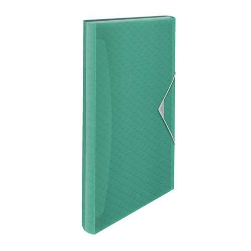 Esselte Colour`Breeze zielony folder harmonijkowy A4 z 6 przegródkami