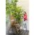 Nő a Karcher K 2 PREMIUM FJ HOME BB 1.673-538.0 magasnyomású mosóval tisztít egy fa széket