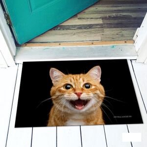 Vicces cica fejes lábtörlő, egyedi bejárati szőnyeg - Vicces ajándék