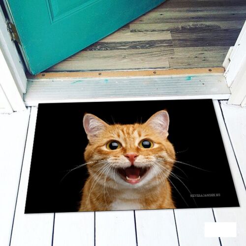 Vicces cica fejes lábtörlő, egyedi bejárati szőnyeg