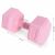 ModernHome 4kg Pink Hex Dumbbell with Dimensions