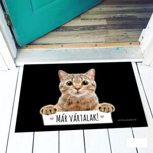 Vicces lábtörlő macskával, ami azt mondja: 'Már vártalak' - Vicces ajándék