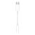 Apple USB-C to 3.5mm Headphone Jack Adapter