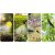 Opryskiwacz akumulatorowy Plonos PL-602 171680375