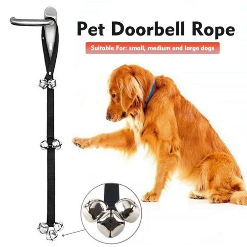 Hangos kiskutya ajtócsengő 125249945