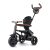 QPLAY Rito Deluxe 6 in 1 Tricycle, Black, 10-72 months, front view