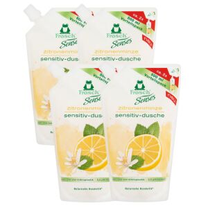Frosch Shower Bath Refill Lemon Mint (6x500ml) 125259481 - Frosch