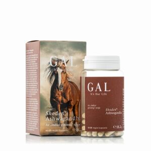 GAL Shoden Ashwagandha 60 vegán kapszula, indiai ginzeng kivonat, étrend-kiegészítő - GAL