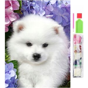 5D gyémánt mozaik hímzőkészlet, Spice modell, 30x40 cm, tartozékok, többszínű