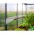Palram Canopia greenhouse shelf with seedlings