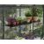 Palram Canopia greenhouse shelf with plants