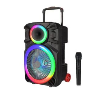 Hordozható Vezeték Nélküli Mélynyomó, Hangszóró Mikrofonnal, SX-1204