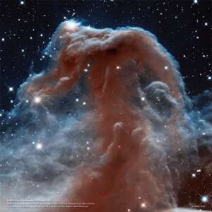 Lófej-köd kép a NASA naptárából - REALSYSTEM