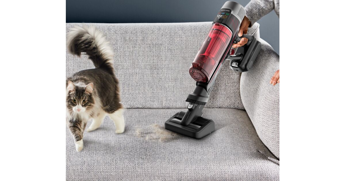 Rowenta RH2099WO X-Force Flex 9.60 Animal Parquet Auto upright