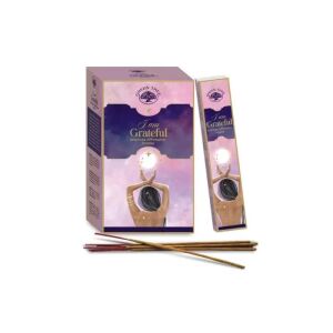 Green Tree I am Grateful Manifestation Räucherstäbchen, eine Schachtel Räucherstäbchen mit einem beruhigenden und erhebenden Aroma für Meditation, Yoga oder die Schaffung einer friedlichen Atmosphäre zu Hause - Innenarchitektur