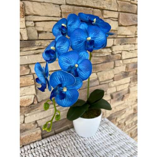 Orchidea 1 szálas  kerámia kaspóban -kék  41317092