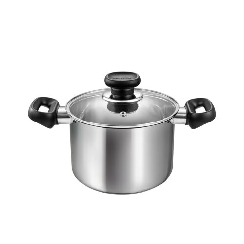 BRAVA 2.0L Stainless Steel Stock Pot with Lid