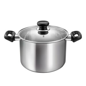 BRAVA 5.5L Stainless Steel Stock Pot with Glass Lid - Clay pot