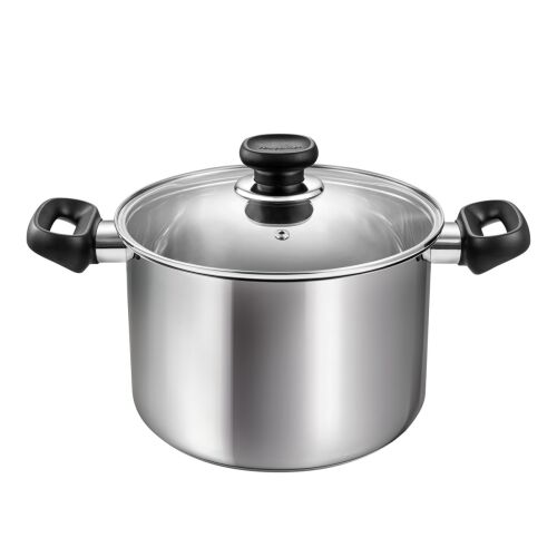 BRAVA 5.5L Stainless Steel Stock Pot with Glass Lid