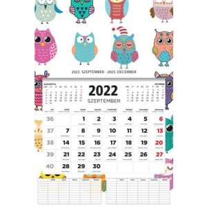 Calendar TOPTIMER, de perete, an școlar 2022/2023, TOPTIMER, bufniță 41325823 Calendare