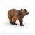 Realistische Braunbär Spielzeugfigur von Papo