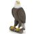 Papo Fehérfejű rétisas figura - Élethű vadon élő állat játék