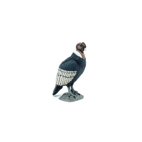 PAPO KONDOR Figura 180532078 - Figura