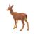 PAPO FIGURA CAPRIOARA 125775223