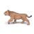 Papo figurina smilodon tanar 125775466