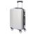 Walizka kabinowa Dollcini Világjáró 20 cali, srebrna