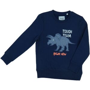 C&A Junge Kniestrümpfe (Mărime: 134) 126030506 - Pullover für Kinder