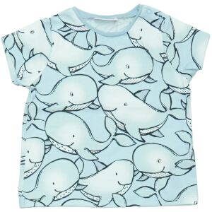 Next Băiat Tricou (Mărime: 68) 126031172 - Next