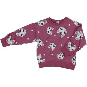 DopoDopo Dziewczyna Podkolanówki UE 110) 126043542 - Moda i ubiór