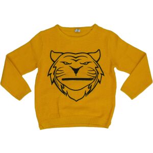 DopoDopo Junge BH (Mărime: 116) 126212589 - Pullover für Kinder