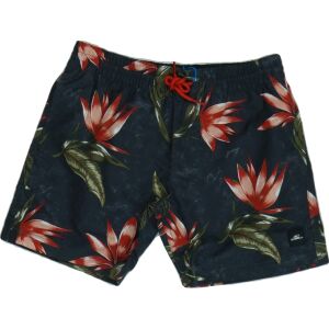 O'neill Junge Gummistiefel/Regenstiefel (Mărime: 152) 126044813 - O'Neill