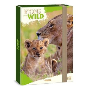 Füzetbox ARS UNA A/4 Icons of the Wild-Lions 126175959 - Füzetbox