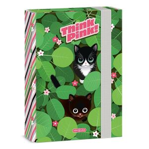 Füzetbox ARS UNA A/5 Think Pink 126175971 - Füzetbox