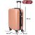 Dollcini Világjáró nagy rózsaszín bőrönd méretei