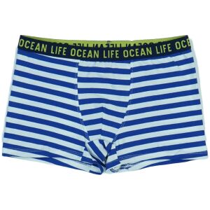 OVS Fiú Boxer (Méret: 170) 126296881 - OVS