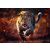 Puzzle 1000 Wilder Leopard TREFL 138146354